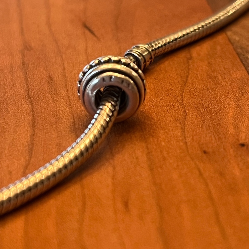 Pandora Retired Charm - image 2